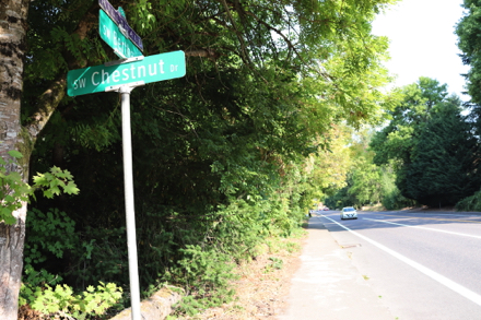 Trailhead at SW Bertha Boulevard & SW Chestnut